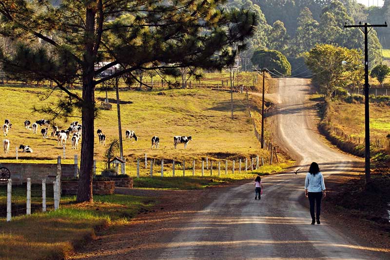 Dados Gerais